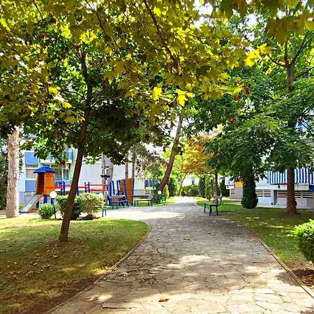 Elit1 Forrent