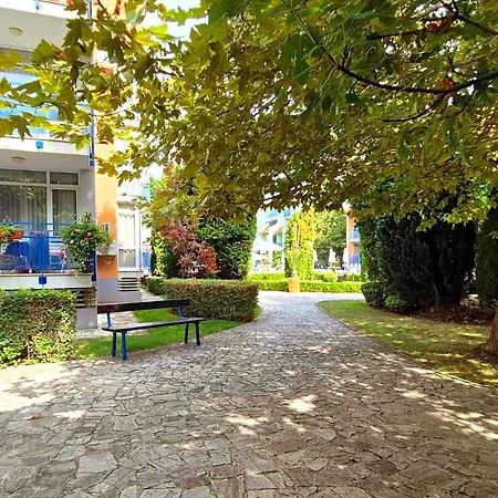 Elit1 Forrent * Slăntjev Brjag