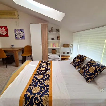 Elit1 Forrent Slăntjev Brjag