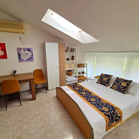 Elit1 Forrent