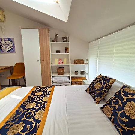 Elit1 Forrent