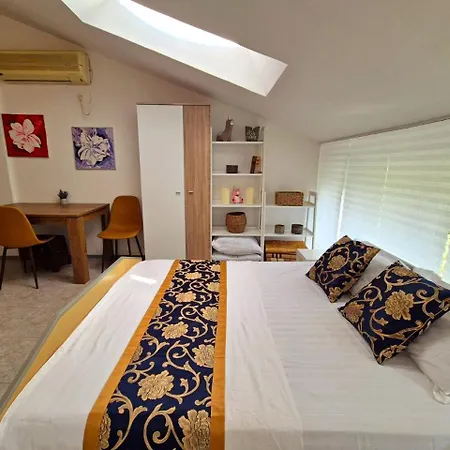 Elit1 Forrent * Sunny Beach