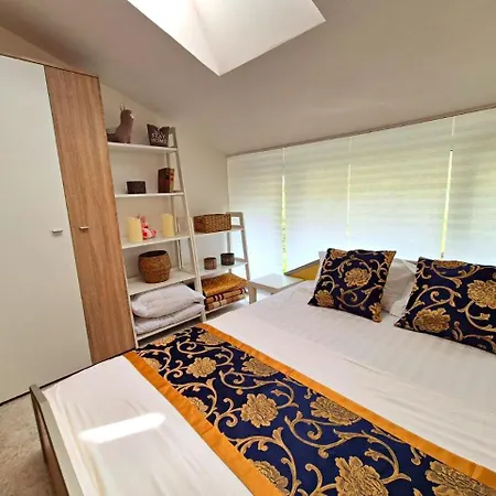 Elit1 Forrent * Sunny Beach