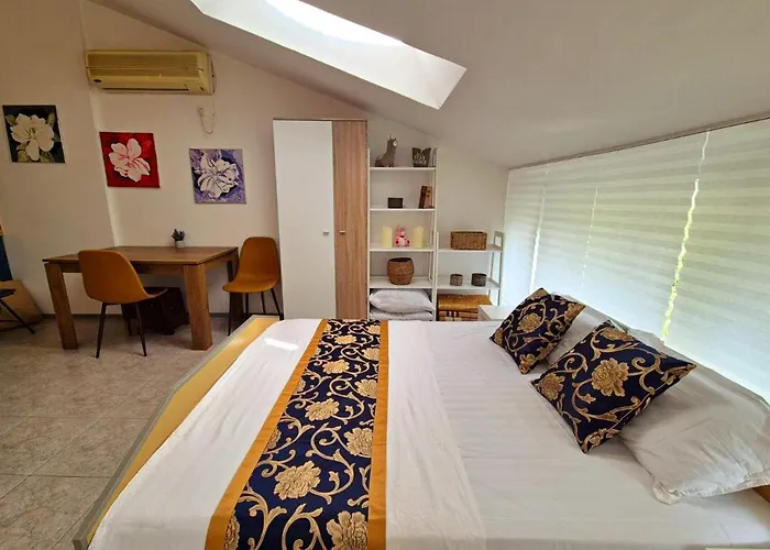 Elit1 Forrent * Солнечный берег