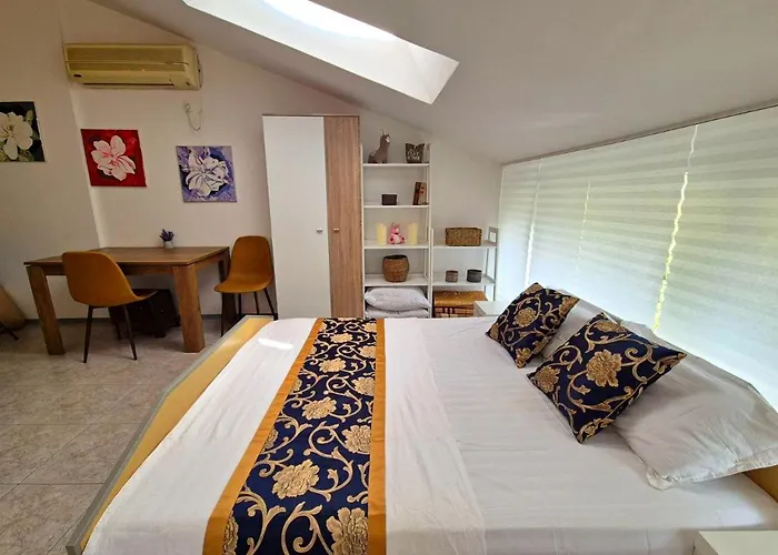 Elit1 Forrent Солнечный берег