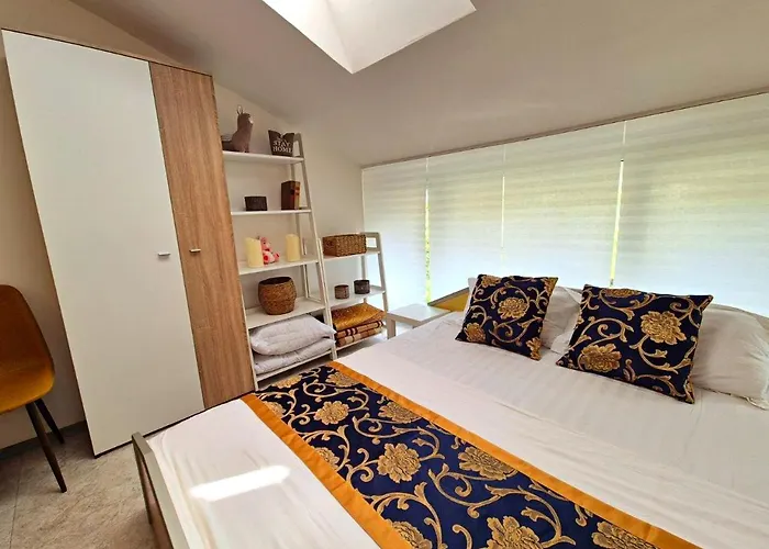 Elit1 Forrent * Солнечный берег